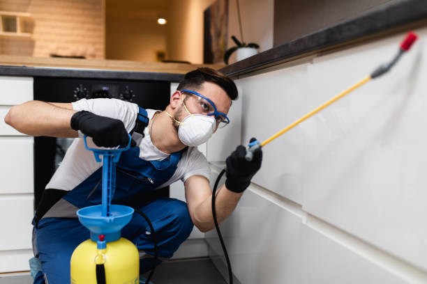 Best Affordable Pest Control Services  in Fairwood, WA