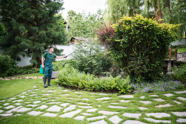 Best Wildlife Control Services  in Fairwood, WA