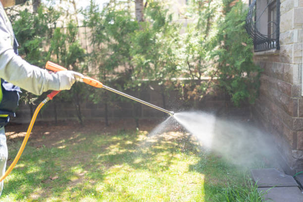 Best Pest Prevention Services  in Fairwood, WA