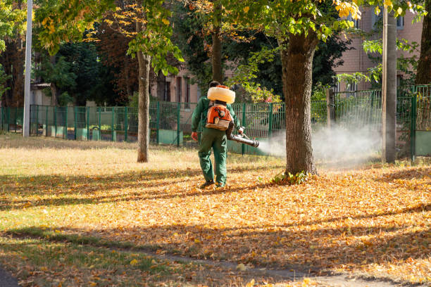 Best Emergency Pest Control  in Fairwood, WA