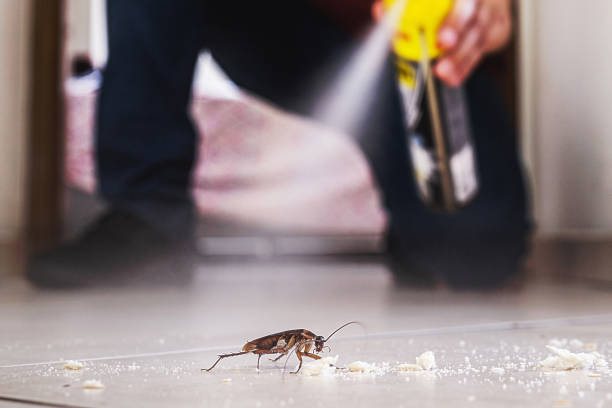 Best Exterminator Services  in Fairwood, WA