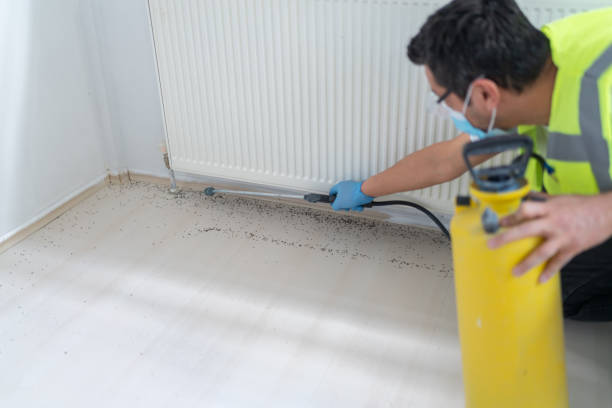 Best Ant Control Services  in Fairwood, WA